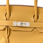 Togo Birkin 30 Curry