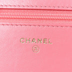 Lambskin Quilted Chanel 19 Wallet On Chain WOC Pink