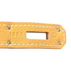 Togo Birkin 30 Curry