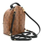 Reverse Monogram Palm Springs Backpack Mini