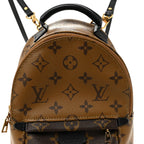Reverse Monogram Palm Springs Backpack Mini