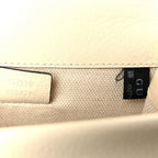 Textured Calfskin Crystal Mini Dionysus Shoulder Bag Mystic White