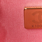 Lambskin Quilted Chanel 19 Wallet On Chain WOC Pink