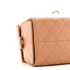 Caviar Quilted Small Chanel 25 Handbag Brown