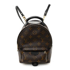 Monogram Palm Springs Backpack Mini