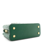Ostrich Capucines Mini Mint