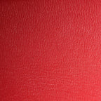 Ostrich Birkin 30 Rouge Vif