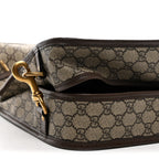 GG Supreme Monogram Textured Dollar Calfskin Web Ophidia Savoy Garment Bag Beige Ebony New Acero