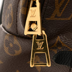 Monogram Palm Springs Backpack MM