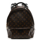 Monogram Palm Springs Backpack MM