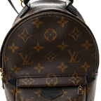 Monogram Palm Springs Backpack Mini