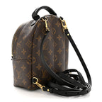 Monogram Palm Springs Backpack Mini