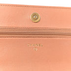Lambskin Quilted Chanel 19 Wallet On Chain WOC Brown