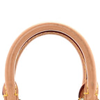 Monogram Nano Speedy